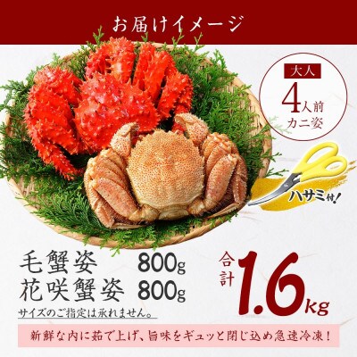 【のし付】毛蟹 & 花咲ガニ 食べ比べ 約800g 蟹ハサミ付 ボイル済み 北海道 弟子屈 2482