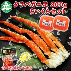 【のし付】タラバガニ足 800g前後 & いくら80g×2個 蟹ハサミ付 北海道 弟子屈町 1212