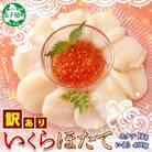 【のし付】訳あり ホタテ玉冷 約1kg & いくら醤油漬け200g×2個 北海道 弟子屈町 3353