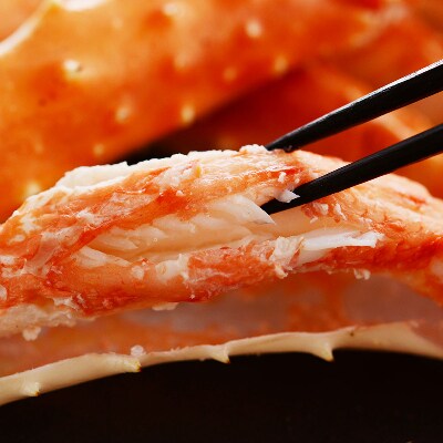 【北海道】蟹足食べ比べ タラバ ズワイ1.6kg前後セット 4~5人前 蟹ハサミ・ガイド付 524