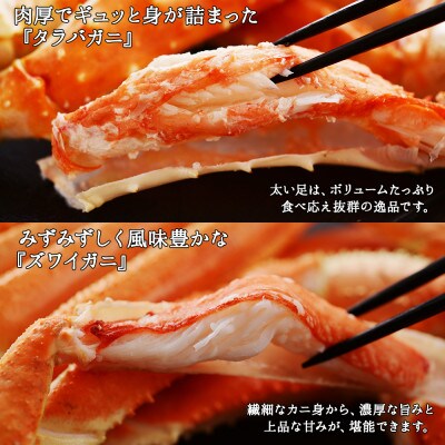 のし付 蟹足食べ比べ タラバ ズワイ 計1 6kg 蟹ハサミ ガイド付 北海道 弟子屈町 1218 お礼品詳細 ふるさと納税なら さとふる
