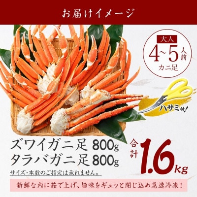 【のし付】蟹足食べ比べ タラバ ズワイ 計1.6kg 蟹ハサミ・ガイド付 北海道 弟子屈町 2570