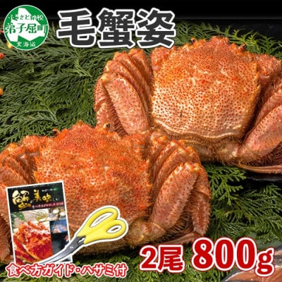 毛蟹 姿 2尾 計800g前後 ボイル 食べ方ガイド・専用ハサミ付 北海道 弟子屈町 3357
