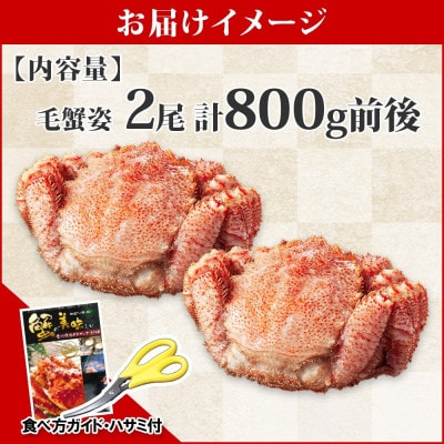 毛蟹 姿 2尾 計800g前後 ボイル 食べ方ガイド・専用ハサミ付 北海道 弟子屈町 3357