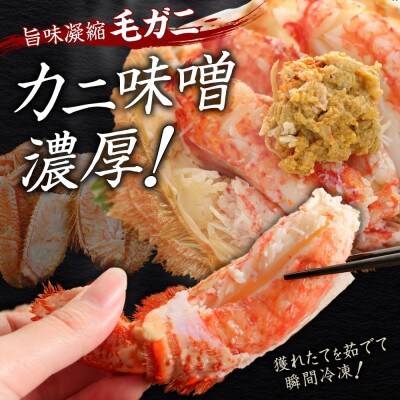 毛蟹 姿 2尾 計1kg前後 ボイル 食べ方ガイド・専用ハサミ付 北海道 弟子屈町 3319