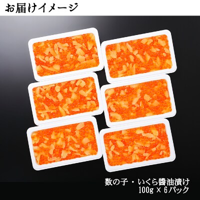 【2024年3月上旬発送】【のし付】【さとふる限定】数の子・いくら醤油漬け 計600g 2027