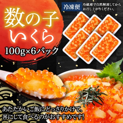【のし付】【さとふる限定】数の子・いくら醤油漬け 計600g 魚卵づくし 北海道 弟子屈町 2979
