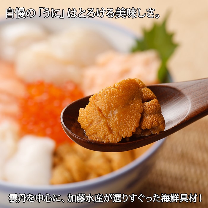 【のし付】6種海鮮丼 雲丹Aセット300g前後 2人前 北海道 弟子屈町 1980