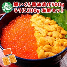 2種 海鮮丼 鱒いくら醤油漬け500g &amp; ウニ200g 北海道 弟子屈町 733