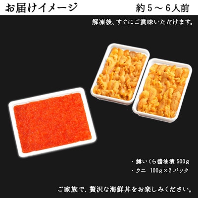 2種 海鮮丼 鱒いくら醤油漬け500g & ウニ200g 北海道 弟子屈町 733