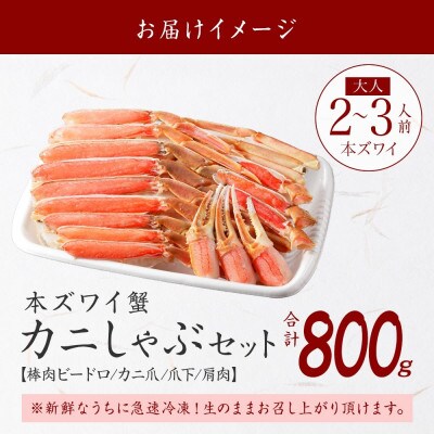 蟹ズワイしゃぶ 約800g 2～3人前 生食可 鍋 しゃぶしゃぶ 北海道 弟子屈町 2496