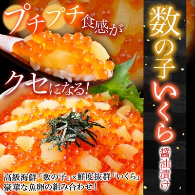 数の子いくら醤油漬け 200g & うに 200g & ホタテ 300g 北海道 弟子屈町 3431