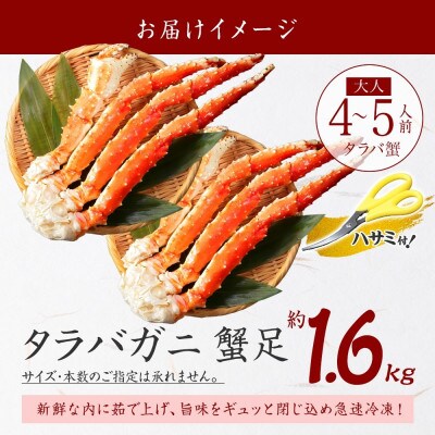 タラバガニ足 約1.6kg 4~5人前 蟹ハサミ・ガイド付 3~4Lサイズ 北海道 弟子屈 3307