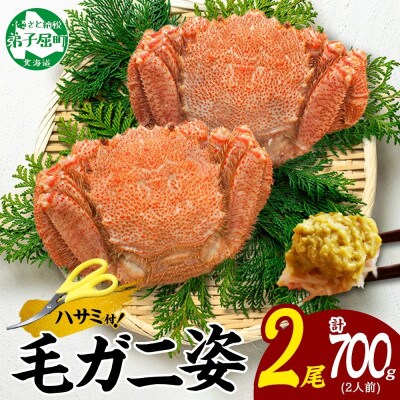 【のし付】毛蟹 姿 2尾 計700g前後 ボイル 蟹ハサミ・ガイド付 北海道 弟子屈町 3334