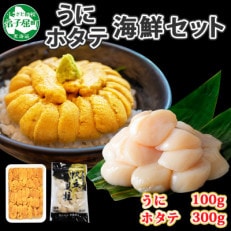 ウニ 100g ホタテ 300g 2種 海鮮丼 北海道 弟子屈町 1662 | ふるさと納税のお礼品