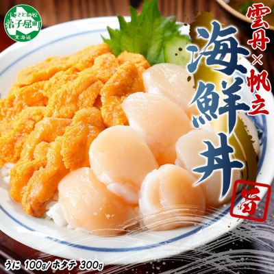 ウニ 100g ホタテ 300g 2種 海鮮丼 北海道 弟子屈町 3382