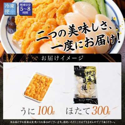 ウニ 100g ホタテ 300g 2種 海鮮丼 北海道 弟子屈町 3382