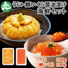 ウニ 100g 鱒いくら醤油漬け 100g 2種 海鮮丼 北海道 弟子屈町 1958 | ふるさと納税のお礼品