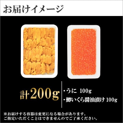 ウニ 100g 鱒いくら醤油漬け 100g 2種 海鮮丼 北海道 弟子屈町 1357