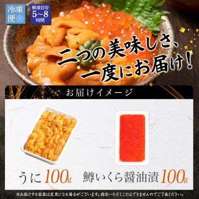 ウニ 100g 鱒いくら醤油漬け 100g 2種 海鮮丼 北海道 弟子屈町 2518