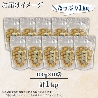 帆立 干貝柱 100g×10個 計1kg ホタテ 干し貝柱 北海道 弟子屈町 3344