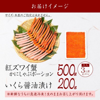 【のし付】紅ズワイガニ 約500g いくら 約200g 北海道 弟子屈町 3397
