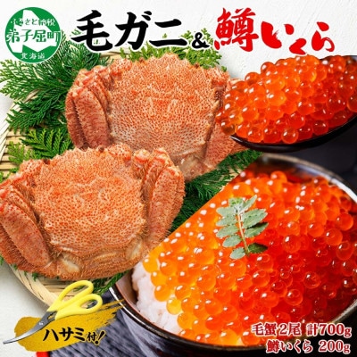 毛蟹 2尾 約700g 鱒いくら醤油漬け 200g 蟹ハサミ・ガイド付き 北海道 弟子屈町 3436