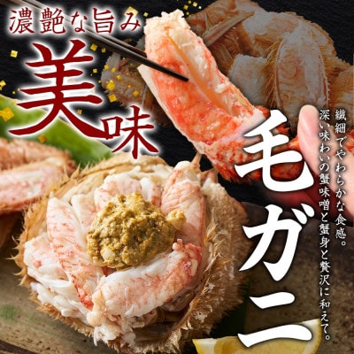 毛蟹 2尾 約700g 鱒いくら醤油漬け 200g 蟹ハサミ・ガイド付き 北海道 弟子屈町 3436