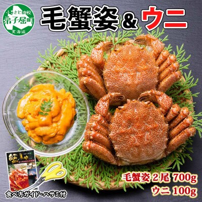 毛蟹 2尾 計700g前後 うに 100g前後 専用ハサミ・ガイド付き 北海道 弟子屈町 1374