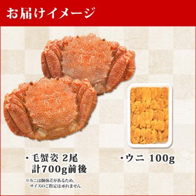 毛蟹 2尾 計700g前後 うに 100g前後 専用ハサミ・ガイド付き 北海道 弟子屈町 1374