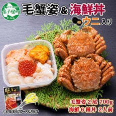 毛蟹 2尾 約700g うに入り6種海鮮丼 計300g 蟹ハサミ・ガイド付 北海道 弟子屈 2066