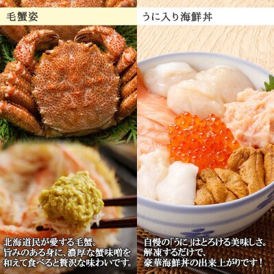 毛蟹 2尾 約700g うに入り6種海鮮丼 計300g 蟹ハサミ・ガイド付 北海道 弟子屈 1375