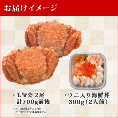 毛蟹 2尾 約700g うに入り6種海鮮丼 計300g 蟹ハサミ・ガイド付 北海道 弟子屈 1375
