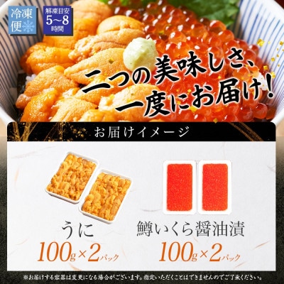 【のし付】ウニ 200g 鱒いくら醤油漬け 200g 2種 海鮮丼 北海道 弟子屈町 3407