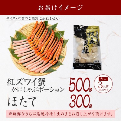 【のし付】紅ズワイガニポーション 約500g ホタテ 約300g 海鮮 北海道 弟子屈町 3293