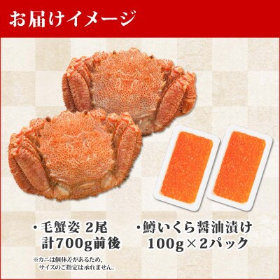 【のし付】毛蟹 2尾 700g 鱒いくら醤油漬け 200g 蟹ハサミガイド 北海道 弟子屈 1372