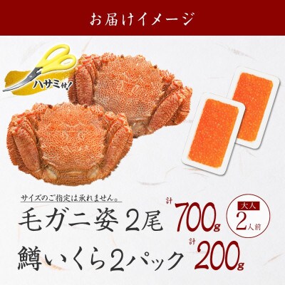 【のし付】毛蟹 2尾 700g 鱒いくら醤油漬け 200g 蟹ハサミガイド 北海道 弟子屈 3436