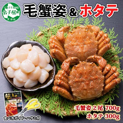 【のし付】毛蟹2尾 約700g ホタテ 300g 蟹ハサミガイド付き 北海道 弟子屈 1373