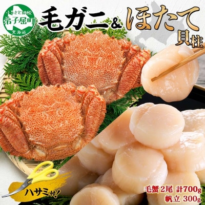 【のし付】毛蟹2尾 約700g ホタテ 300g 蟹ハサミガイド付き 北海道 弟子屈 3419