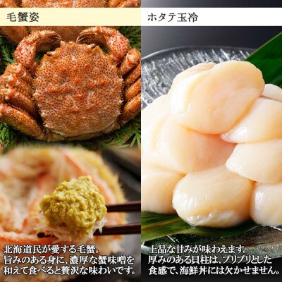 【のし付】毛蟹2尾 約700g ホタテ 300g 蟹ハサミガイド付き 北海道 弟子屈 1373