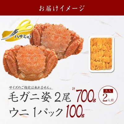 【のし付】毛蟹2尾 計700g前後 うに100g前後 蟹ハサミ・ガイド付 北海道 弟子屈町 3418