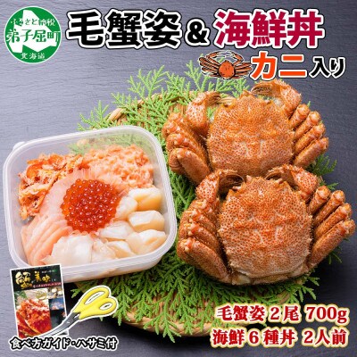 【のし付】毛蟹2尾 約700g 蟹入り海鮮丼 計300g 蟹ハサミガイド付 北海道 弟子屈 1376