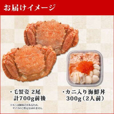 【のし付】毛蟹2尾 約700g 蟹入り海鮮丼 計300g 蟹ハサミガイド付 北海道 弟子屈 1376