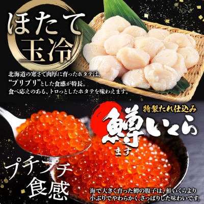 【のし付】紅ズワイガニしゃぶ約1kg 鱒いくら約200g ホタテ約300g 北海道 弟子屈 3095