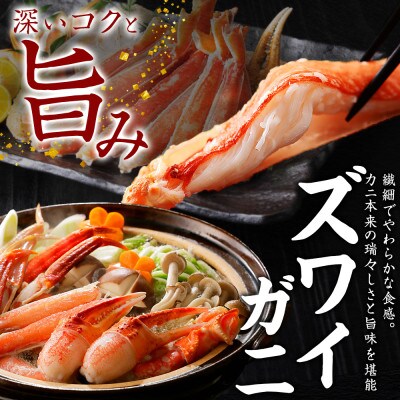【のし付】ズワイガニ足約800g 松前漬・ホタテ・キムチ ハサミ・ガイド 北海道 弟子屈町 2546