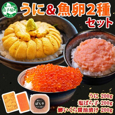 【のし付】ウニ&塩ばら子&鱒いくら醤油漬け 合計600g 雲丹魚卵セット 北海道 弟子屈町 2043