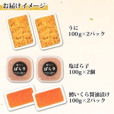 【のし付】ウニ&塩ばら子&鱒いくら醤油漬け 合計600g 雲丹魚卵セット 北海道 弟子屈町 2043