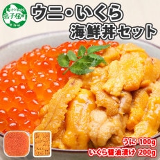 ウニ 100g & いくら醤油漬け 200g 海鮮 2色丼セット 北海道 弟子屈町 1768