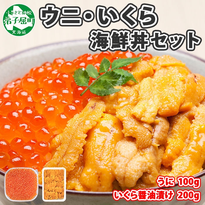 新版 ふるさと納税 弟子屈町 数の子 いくら醤油漬け 計600g 魚卵づくし おかず 北海道 1331