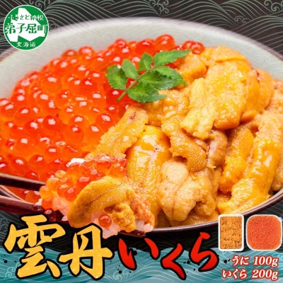 ウニ 100g & いくら醤油漬け 200g 海鮮 2色丼セット 北海道 弟子屈町 2498